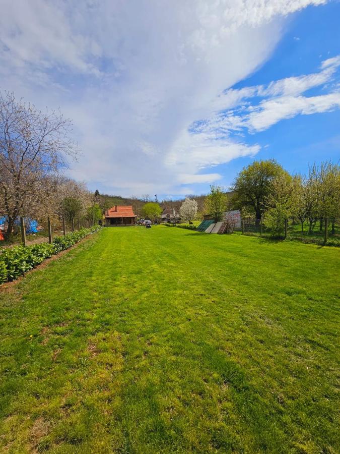 Fruska House Villa Besenovacki Prnjavor Luaran gambar