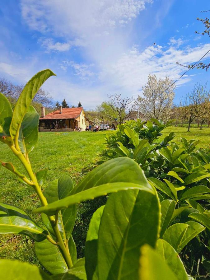 Fruska House Villa Besenovacki Prnjavor Luaran gambar